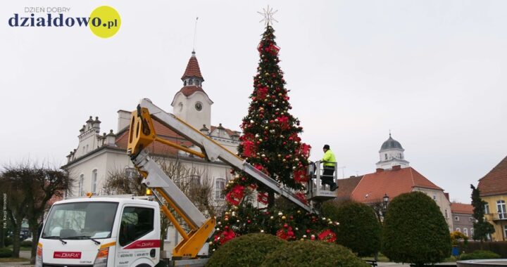 Nowa choinka na miejskim rynku